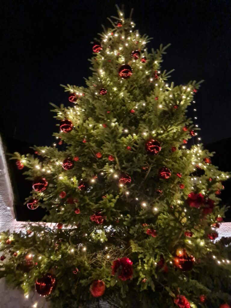 Ein Weihnachtsbaum, geschmückt mit roten und weißen Blumen.