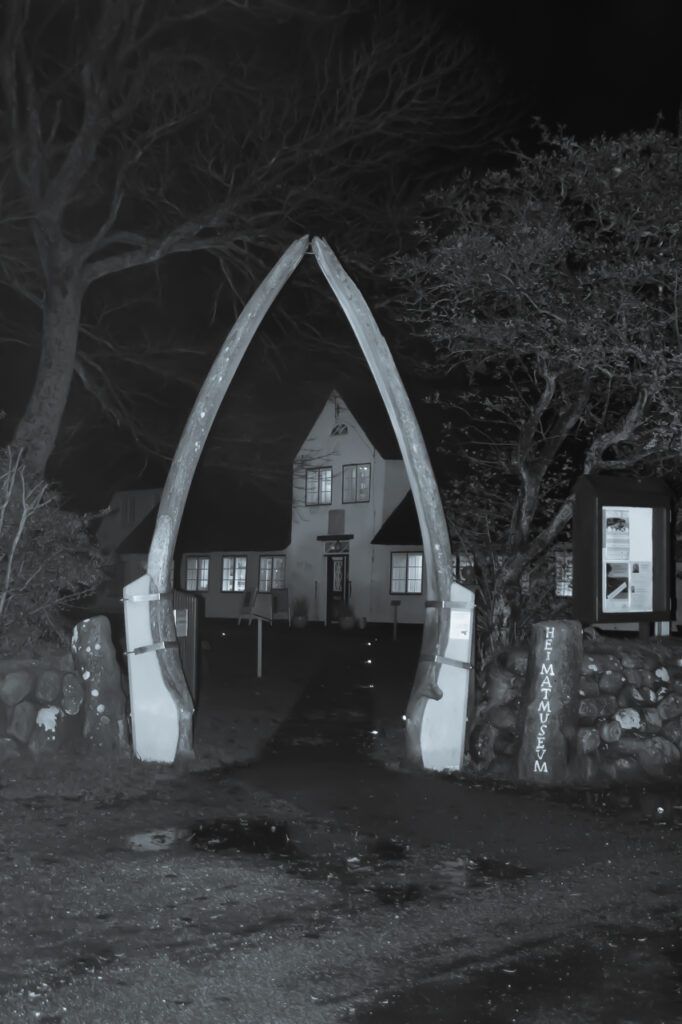 Ein Schwarz-Weiß-Foto eines Torbogens bei Nacht.