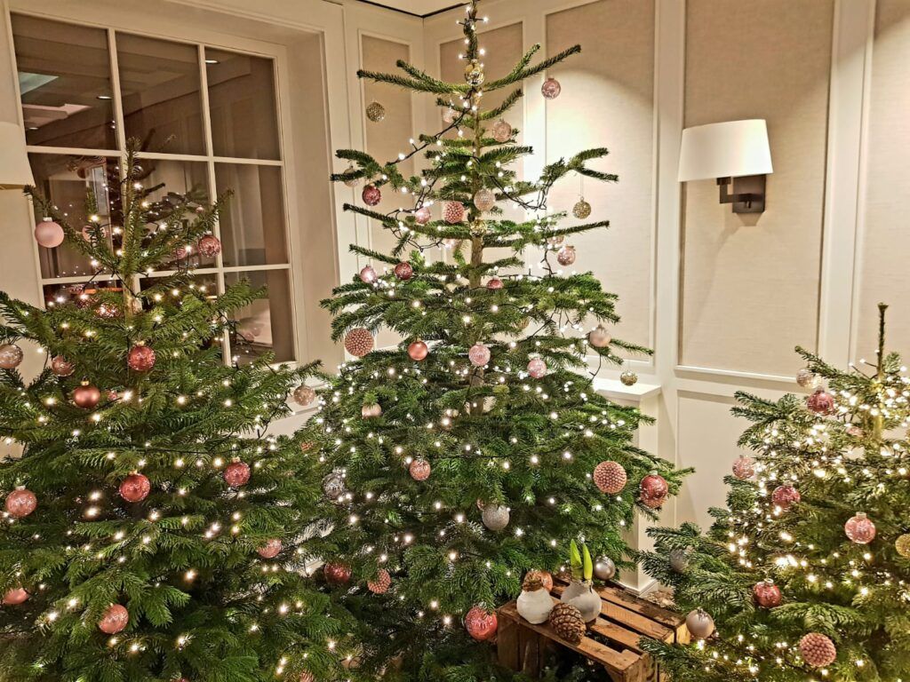 Drei Weihnachtsbäume in einem mit Ornamenten geschmückten Raum.