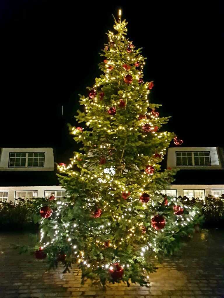 Ein großer Weihnachtsbaum vor einem Haus.