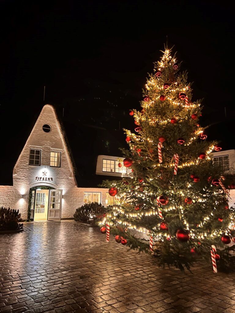 Ein Weihnachtsbaum vor einem Haus in der Nacht.